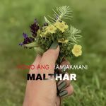 Nono Ang Hamjakmani