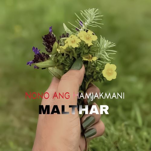 Nono Ang Hamjakmani
