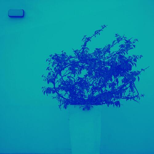 Pacific cover art
