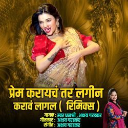 Prem Kraychay Tar lagin Karav Lagl ( Remix )