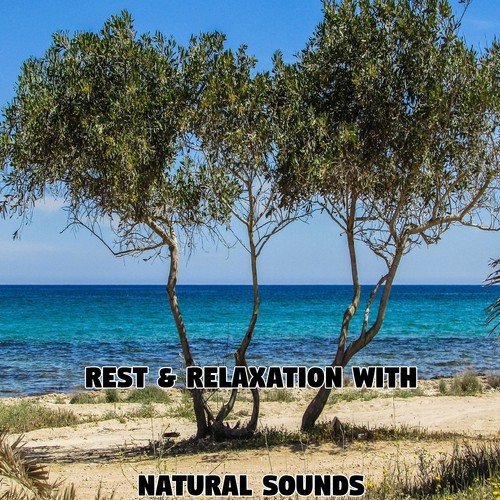 Rest & Relaxation With Natural Sounds