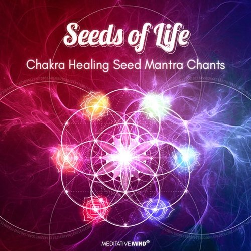 Seeds of Life (Chakra Healing Seed Mantra Chants)_poster_image