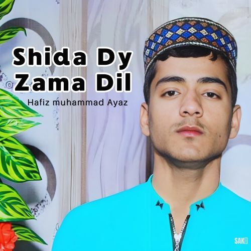 Shida Dy Zama Dil