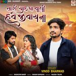 Tari Yaad Ma Vali Have Jivay Na