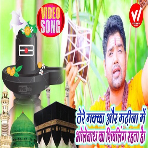 Tere Makka Aur Madina Me Bholenath Ka Shivling Rahta Hai