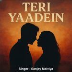 Teri Yaadein