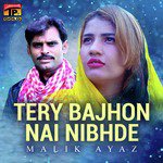 Tery Bajhon Nai Nibhde