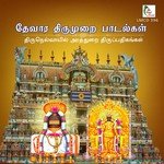 Karuvimai Kann