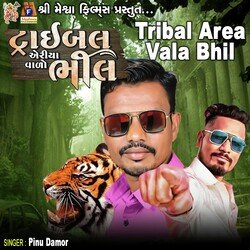 Tribal Area Vala Bhil-SSBfAjx6UAM