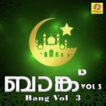 Aaradi Mannu