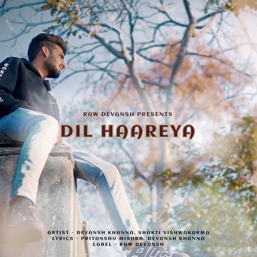 Dil Haareya