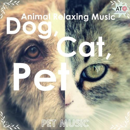 Dog, Cat, Pet Animal Relaxing Music_poster_image