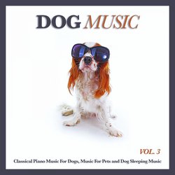 Des Abends - Schumann -Classical Music