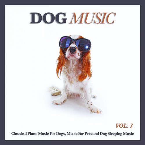 Etudes, Op.28 - Chopin - Dog Music