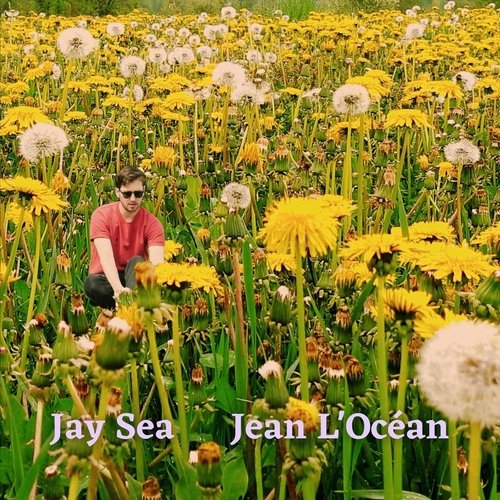 Brassée cover art