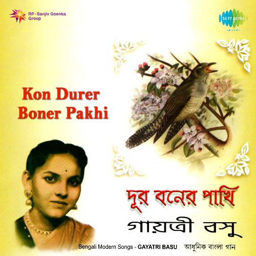 Kon Durer Boner Pakhi