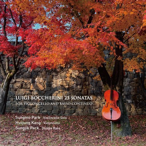 Cello Sonata in E flat Major, G.11  II. Largo cover art