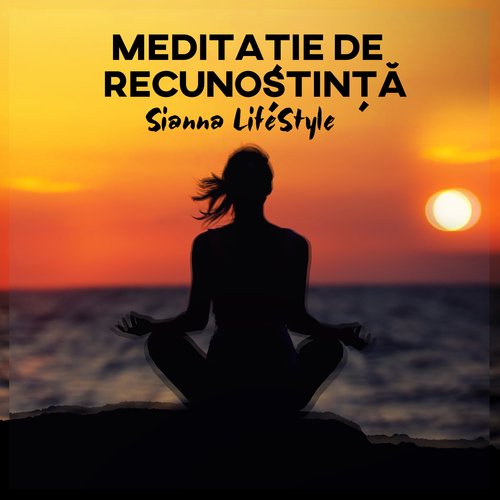 Meditație De Recunoștință_poster_image