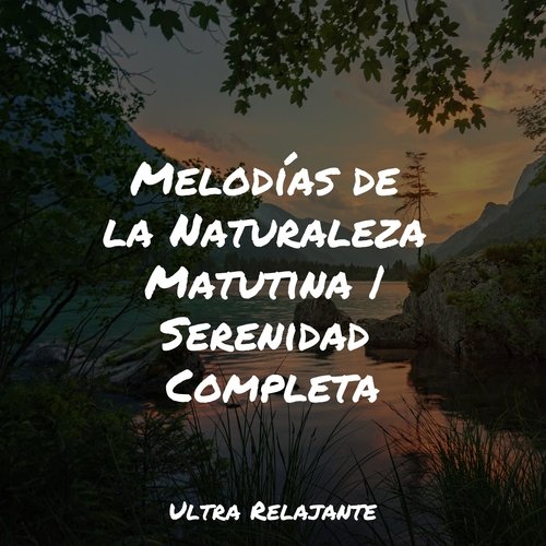Sonido Relajante cover art