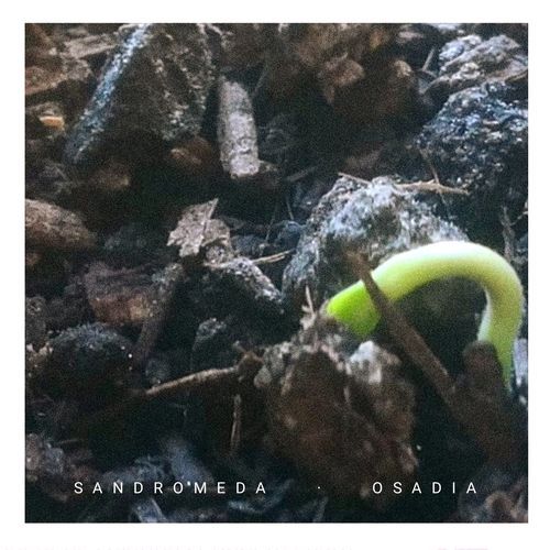 Osadía cover art