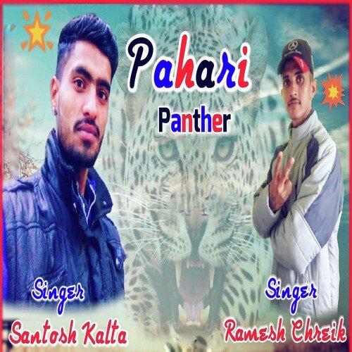 Pahari Panther