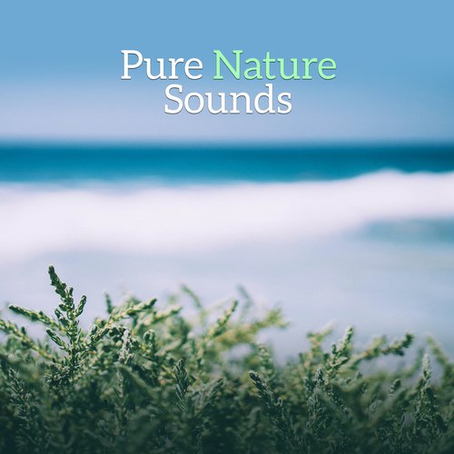 Pure Nature Sounds – Relaxing Music, New Age 2017, Rest, Bliss, Zen, Relief Stress