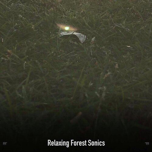 Soothing Bedroom Oasis cover art