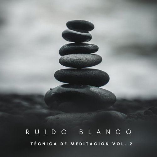 Ruido De Meditación cover art