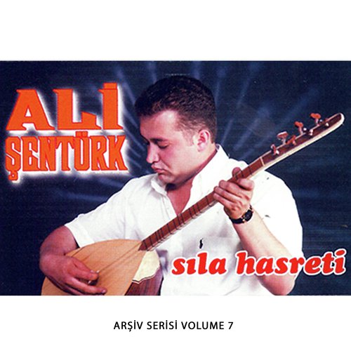 Yücelerden Seyreyledim cover art