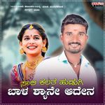 Sali Kalath Hudugi baala Shyane Adena artwork