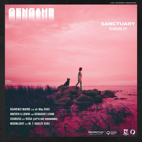 Sanctuary (Rework)_poster_image