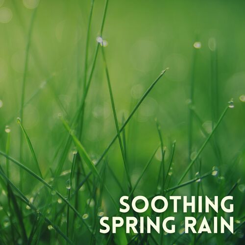 Soothing Spring Rain_poster_image