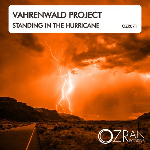 Standing In The Hurricane (Original Mix) cover art