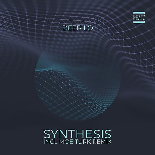 Synthesis (Moe Turk Remix) cover art