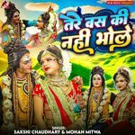 Tere Bas Ki Nahi Bhole