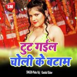 Tut Gail Choli Ke Batan (Bhojpuri Song)