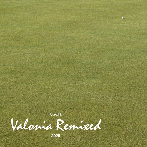 Ueberholspur (Motip White Remix) cover art