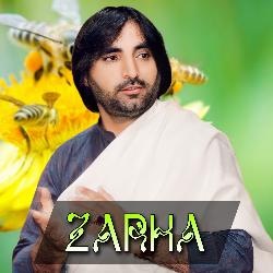 Zarha-PzAyekMERWE