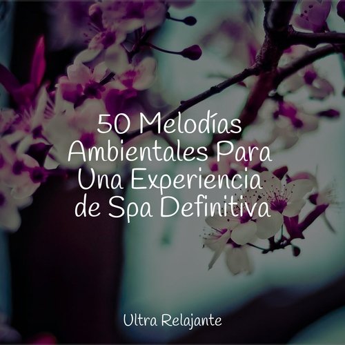 50 Melodías Ambientales Para Una Experiencia de Spa Definitiva