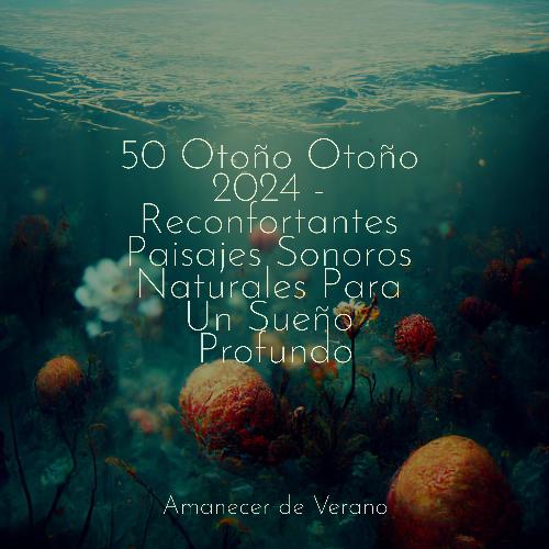 50 Otoño Otoño 2024 - Reconfortantes Paisajes Sonoros Naturales Para Un Sueño Profundo