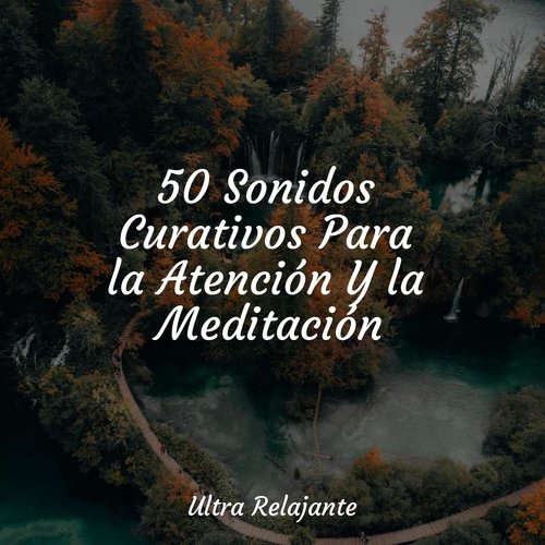 50 Sonidos Curativos Para la Atención Y la Meditación