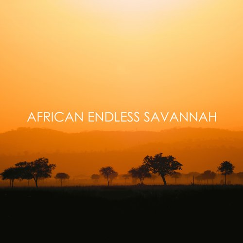 African Endless Savannah: Ethnic Spiritual Sounds, African Harmony_poster_image