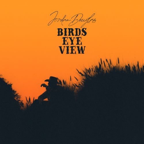 Birds Eye View