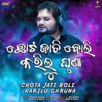 Chota Jati Boli Karilu Ghruna