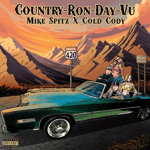 Country Ron Day Vu cover art