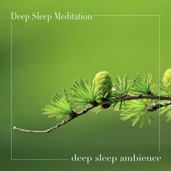 Deep Sleep Meditation