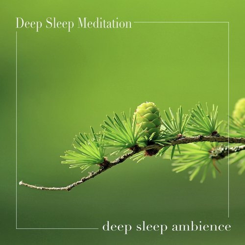 Deep Sleep Ambience