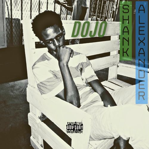 Dojo cover art