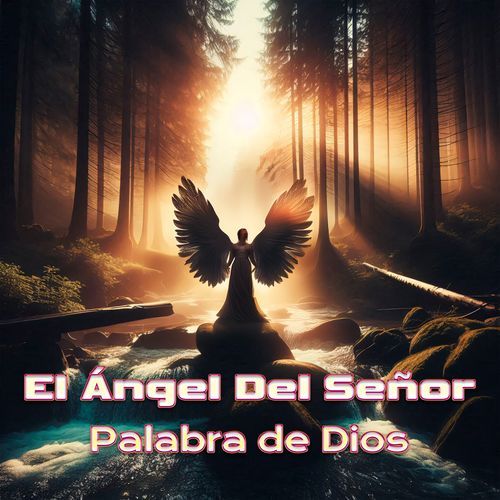 El Ángel Del Señor_poster_image