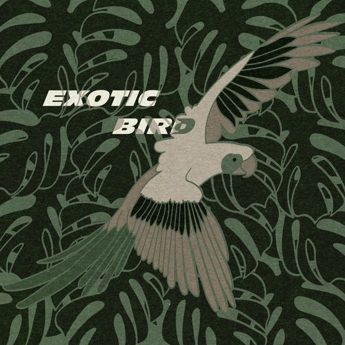 Exotic Bird_poster_image